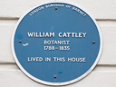 Cattley, William (id=2673)